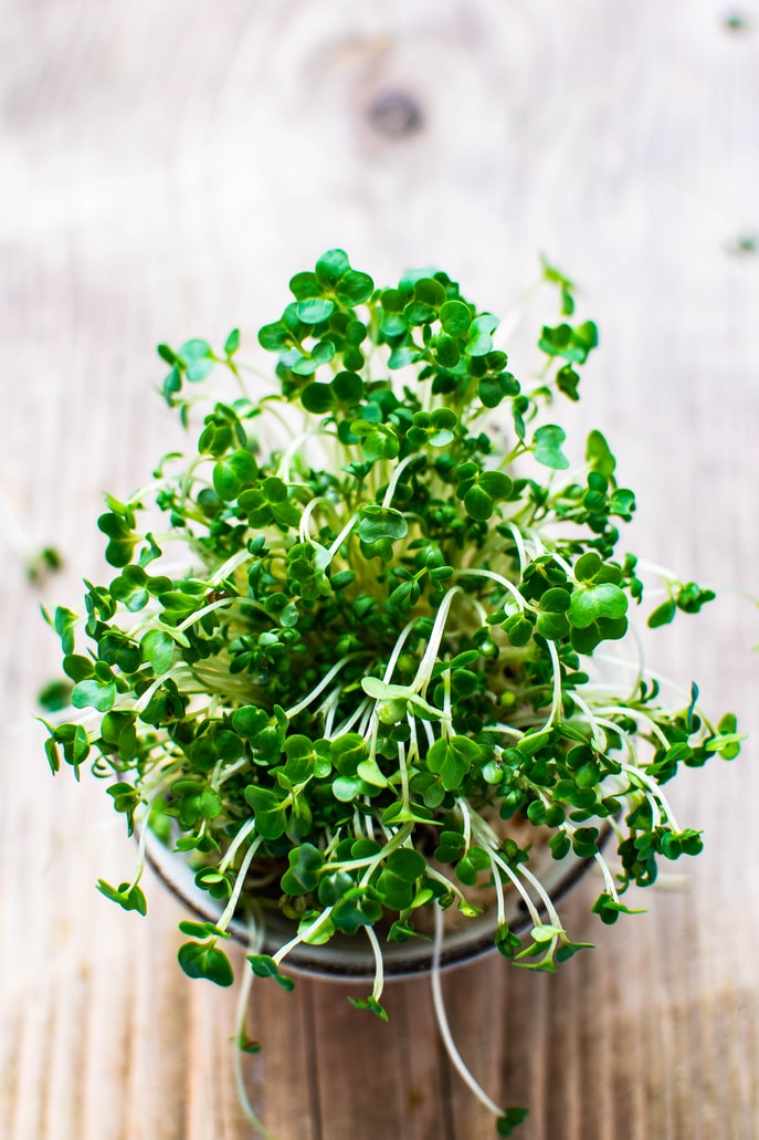 Micro & Cress
